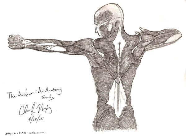 OKÇULUK YARIŞMA PERFORMANSINI ETKİLEYEN FAKTÖRLER